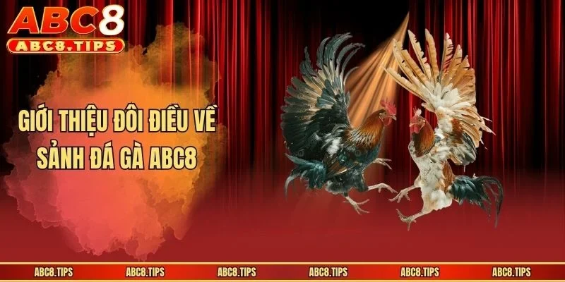 Giới thiệu đôi điều về sảnh đá gà ABC8